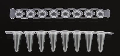 PCR TUBE STRIP